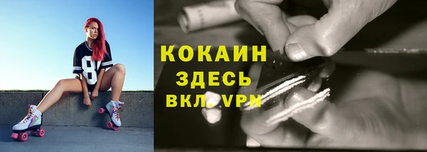 стафф Аркадак
