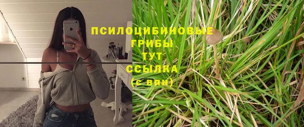 бутират Арсеньев