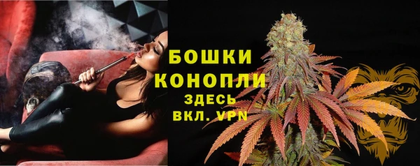 стафф Аркадак