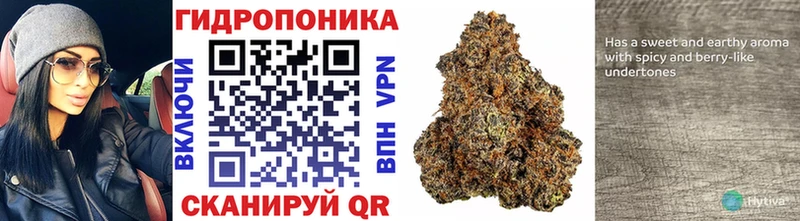 купить   Новый Оскол  Каннабис THC 21% 